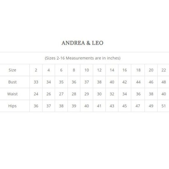 NEW LONG OFF THE SHOULDER STRAPLESS SLEEVELESS EMBROIDERED BALL GOWN AL A1108 - Picture 2 of 8